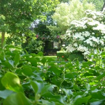Full-service tuinonderhoud